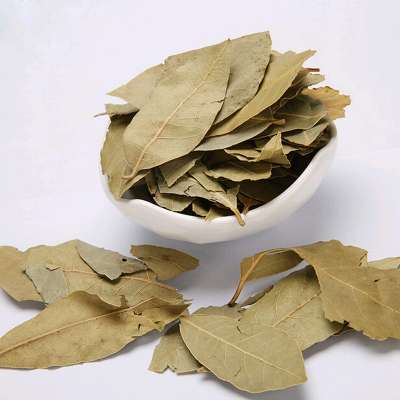 BAY LEAVES / CLEAN AND GOOD SIZE BAY LEAVES / GRADE AAA BAY LEAVES