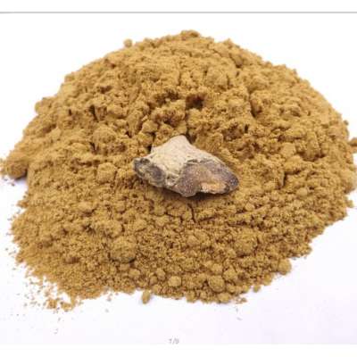 Supply Factory Price of Dehydrated Ginger Powder